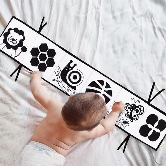 livre pour enfant